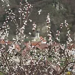 Kwatera prywatna Gaestehaus Rudolf U. Sandra Denk