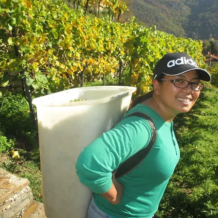 Gaestehaus Rudolf U. Sandra Denk * Wösendorf