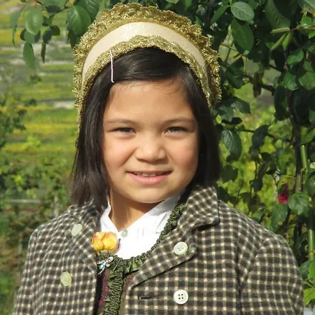 Gaestehaus Rudolf U. Sandra Denk * Wösendorf