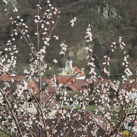 Pansiyon Gaestehaus Rudolf U. Sandra Denk