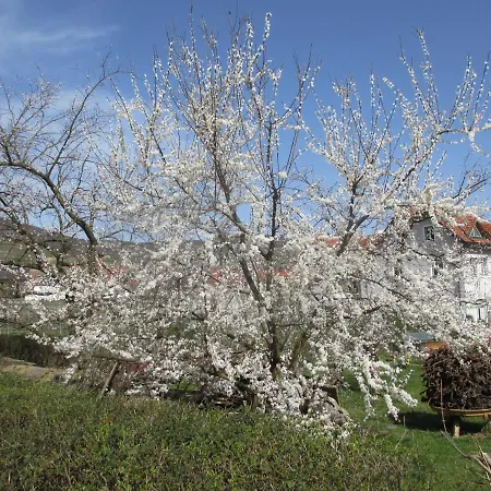 Gaestehaus Rudolf U. Sandra Denk * Wosendorf in der Wachau
