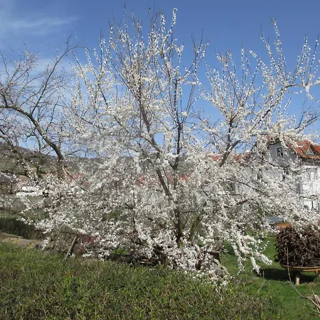 Gaestehaus Rudolf U. Sandra Denk * Wösendorf