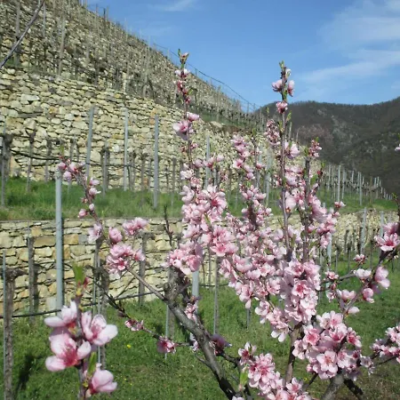 Homestay Gaestehaus Rudolf U. Sandra Denk Wosendorf in der Wachau