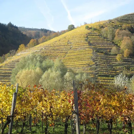 Homestay Gaestehaus Rudolf U. Sandra Denk Wosendorf in der Wachau