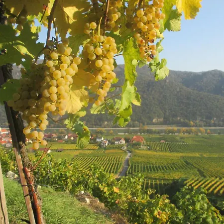 Gaestehaus Rudolf U. Sandra Denk * Wösendorf