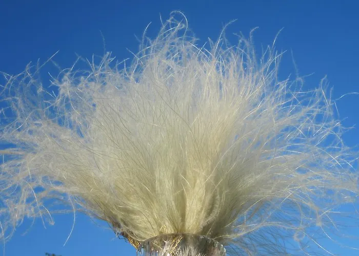 Gaestehaus Rudolf U. Sandra Denk Wösendorf