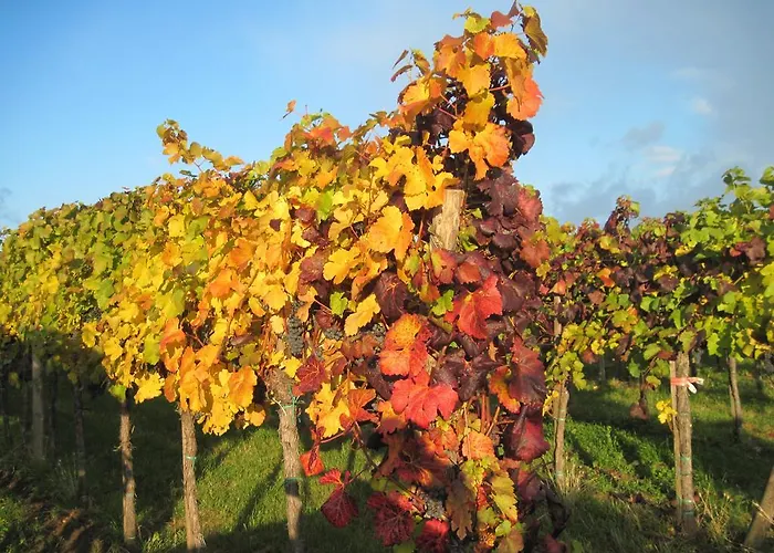Habitación en casa particular Gaestehaus Rudolf U. Sandra Denk Wösendorf