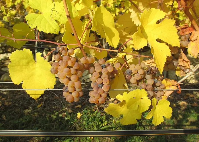 Gaestehaus Rudolf U. Sandra Denk * Wösendorf