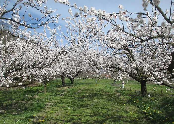 Habitación en casa particular Gaestehaus Rudolf U. Sandra Denk *