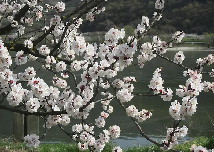 Ubytování v soukromí Gaestehaus Rudolf U. Sandra Denk *
