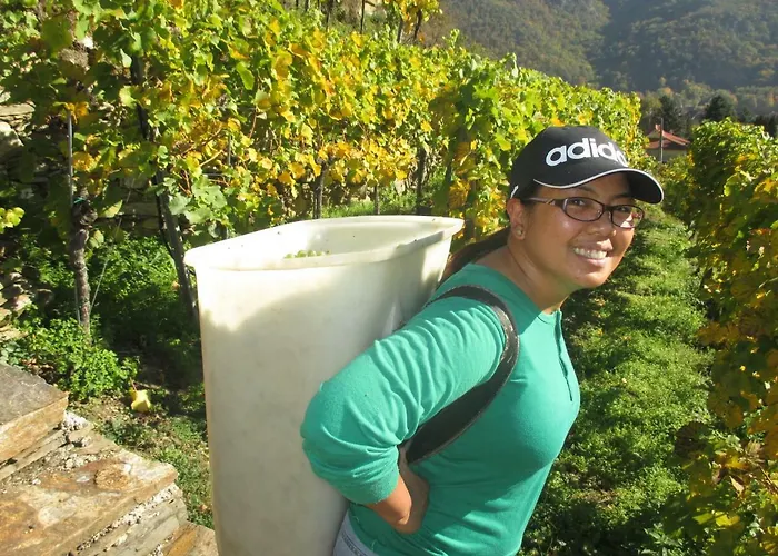 Gaestehaus Rudolf U. Sandra Denk * Wösendorf