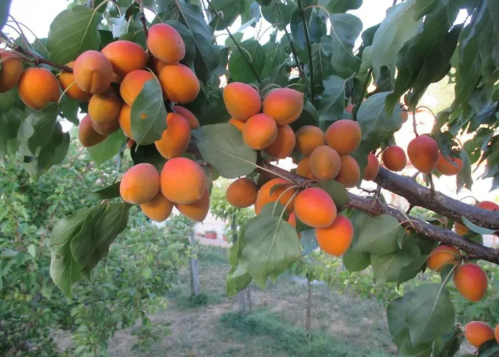 Ubytování v soukromí Gaestehaus Rudolf U. Sandra Denk