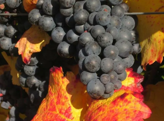 Habitación en casa particular Gaestehaus Rudolf U. Sandra Denk *