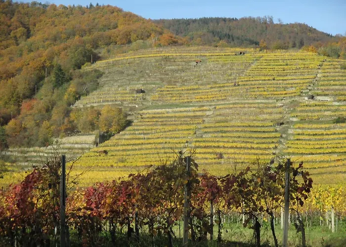 Gaestehaus Rudolf U. Sandra Denk Ubytování v soukromí
