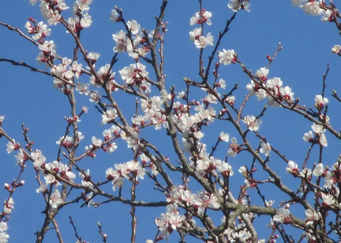 民宿 Gaestehaus Rudolf U. Sandra Denk Wösendorf