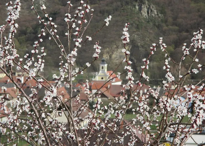 Ubytování v soukromí Gaestehaus Rudolf U. Sandra Denk