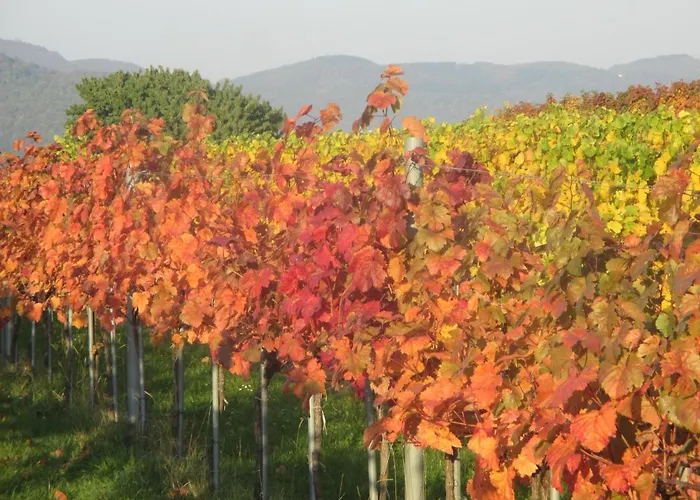 Gaestehaus Rudolf U. Sandra Denk Habitación en casa particular