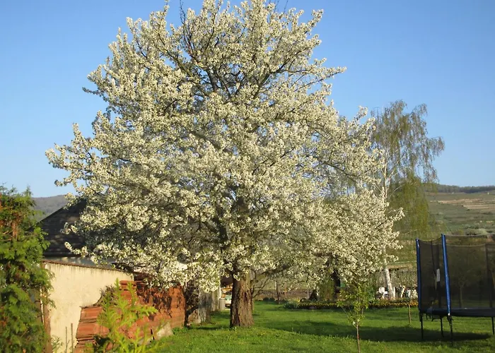 Gaestehaus Rudolf U. Sandra Denk *