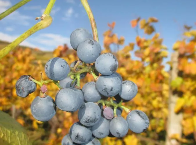 Gaestehaus Rudolf U. Sandra Denk Habitación en casa particular *