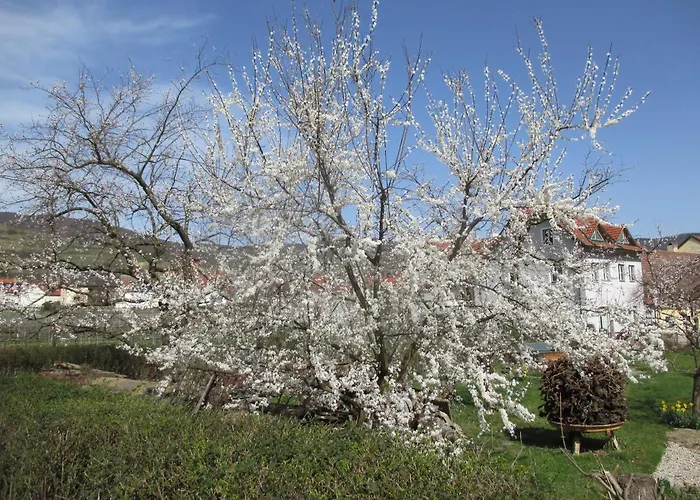 Gaestehaus Rudolf U. Sandra Denk * Wösendorf