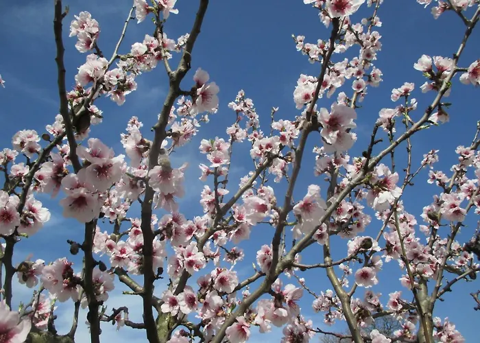 Gaestehaus Rudolf U. Sandra Denk Habitación en casa particular Wösendorf