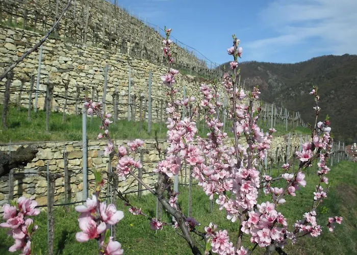Habitación en casa particular Gaestehaus Rudolf U. Sandra Denk Wösendorf