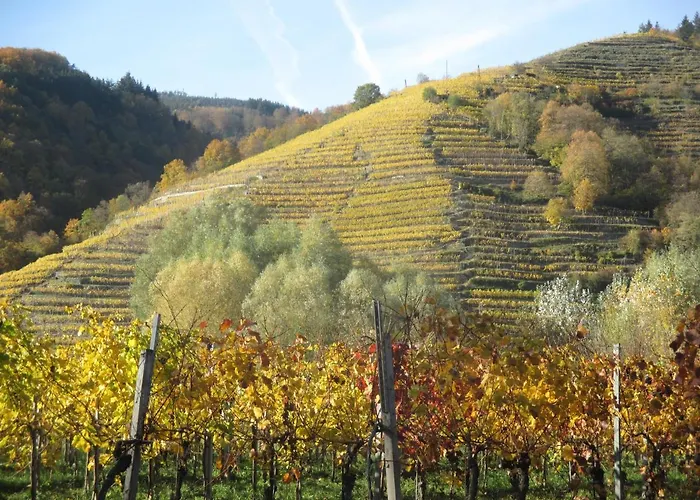 Ubytování v soukromí Gaestehaus Rudolf U. Sandra Denk Wösendorf