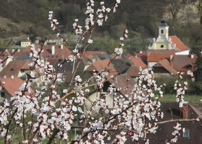 Ubytování v soukromí Gaestehaus Rudolf U. Sandra Denk