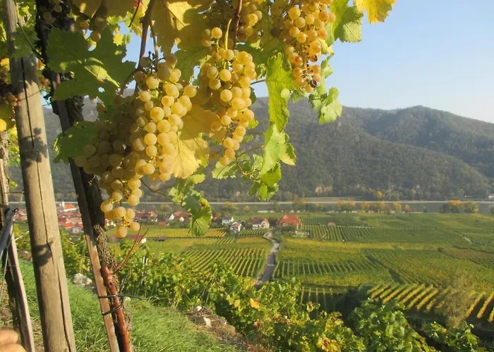 Gaestehaus Rudolf U. Sandra Denk * Wösendorf